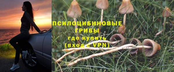 экстази Белокуриха