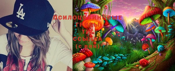 экстази Белокуриха