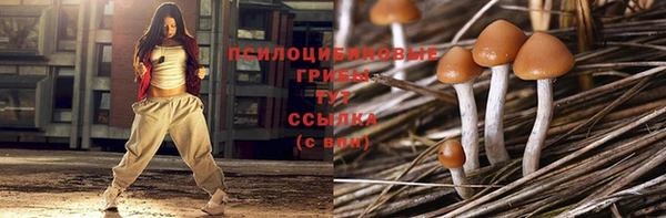 экстази Белокуриха