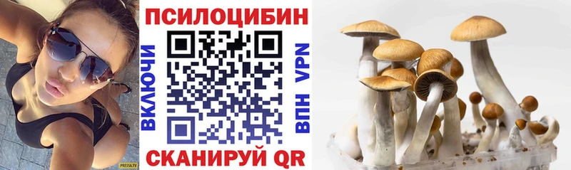 Псилоцибиновые грибы мицелий  купить  цена  площадка какой сайт  Макаров 